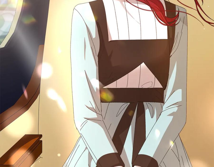 第223页