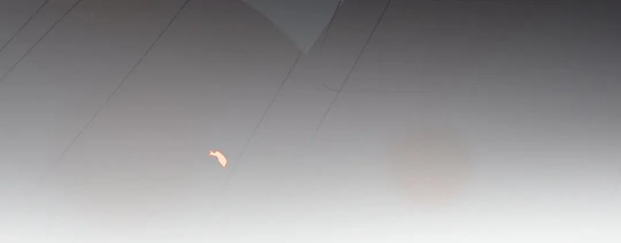 第262页