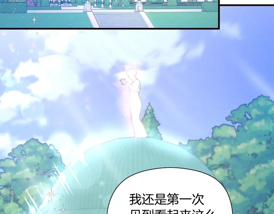 第215页