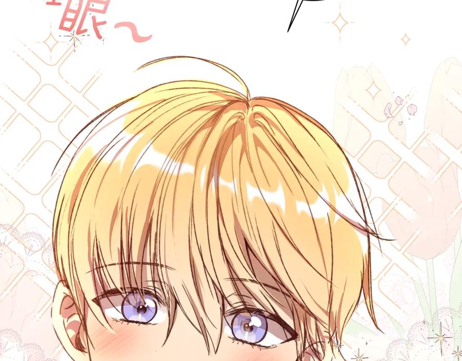 第271页
