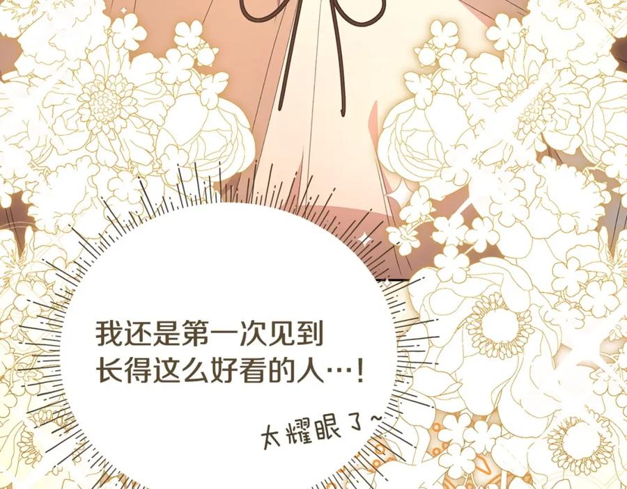 第223页