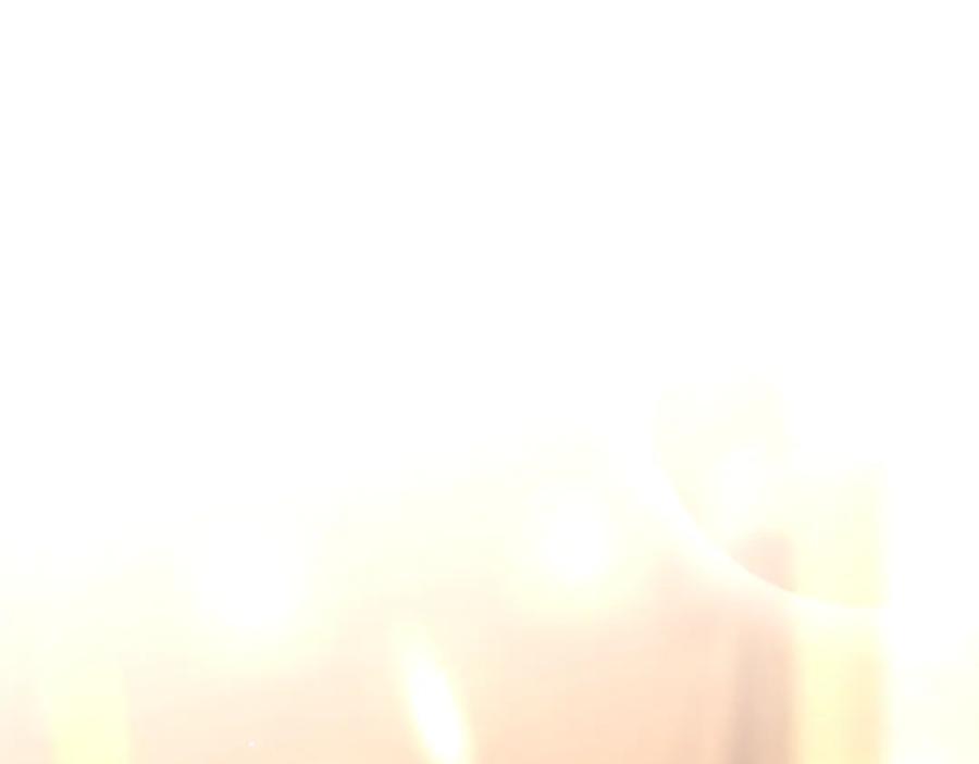 第239页