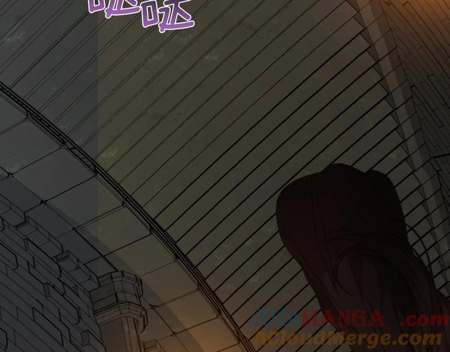 第305页