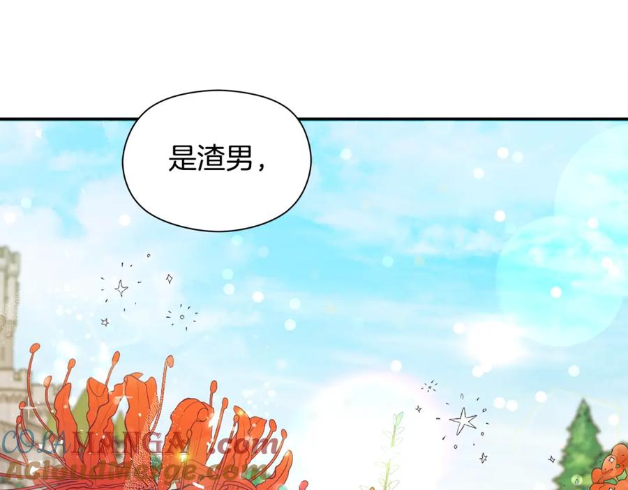 第217页