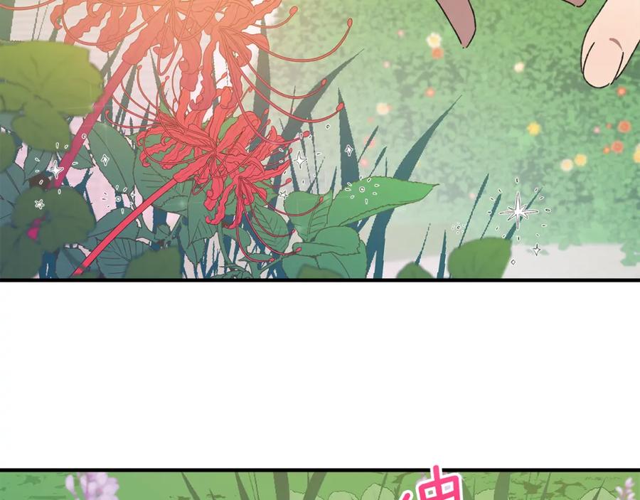 第224页