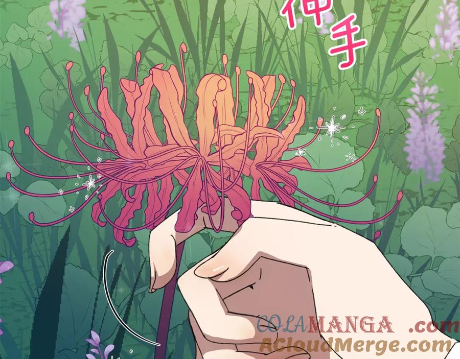 第225页