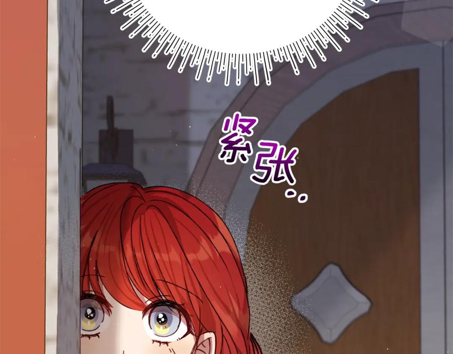 第255页