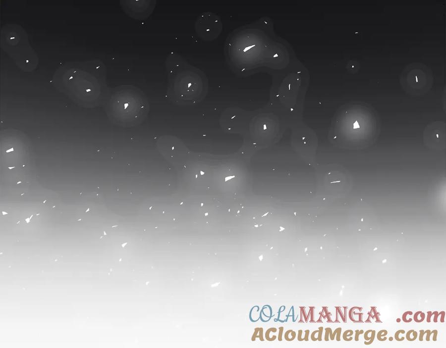 第233页