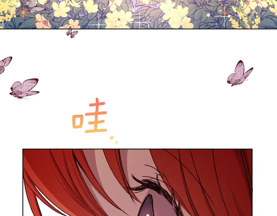 第251页