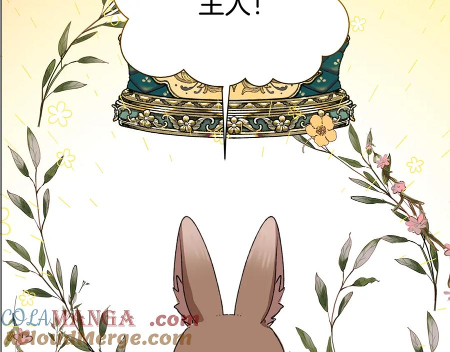 第261页