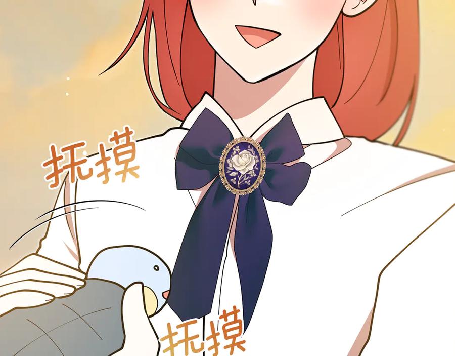 第207页