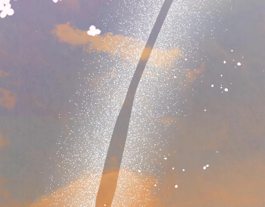 第222页