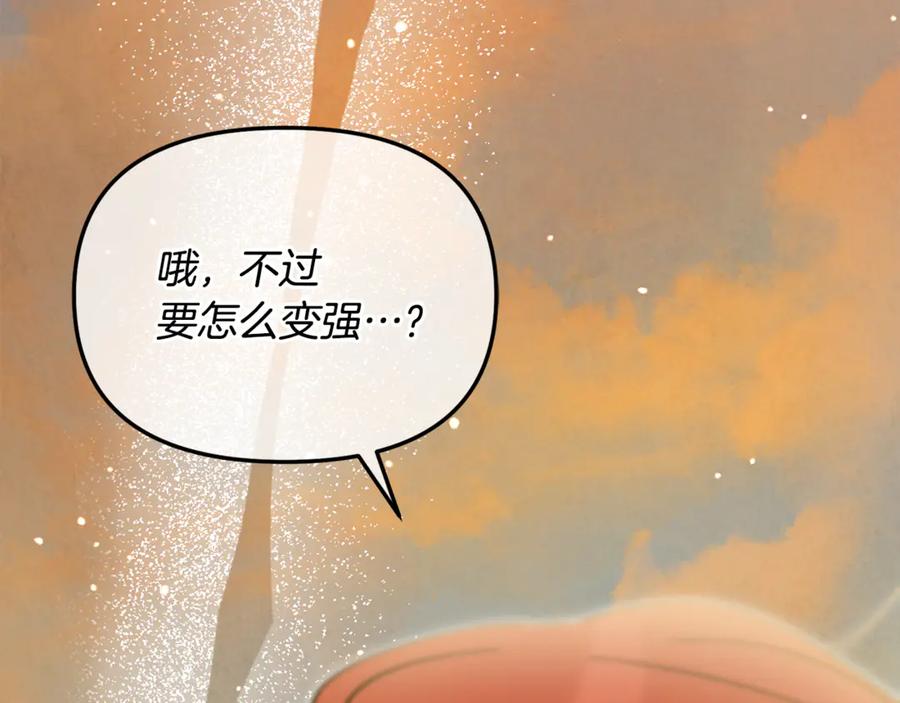 第223页