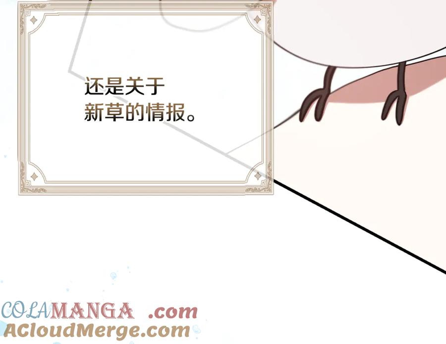 第241页