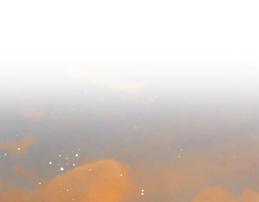 第250页