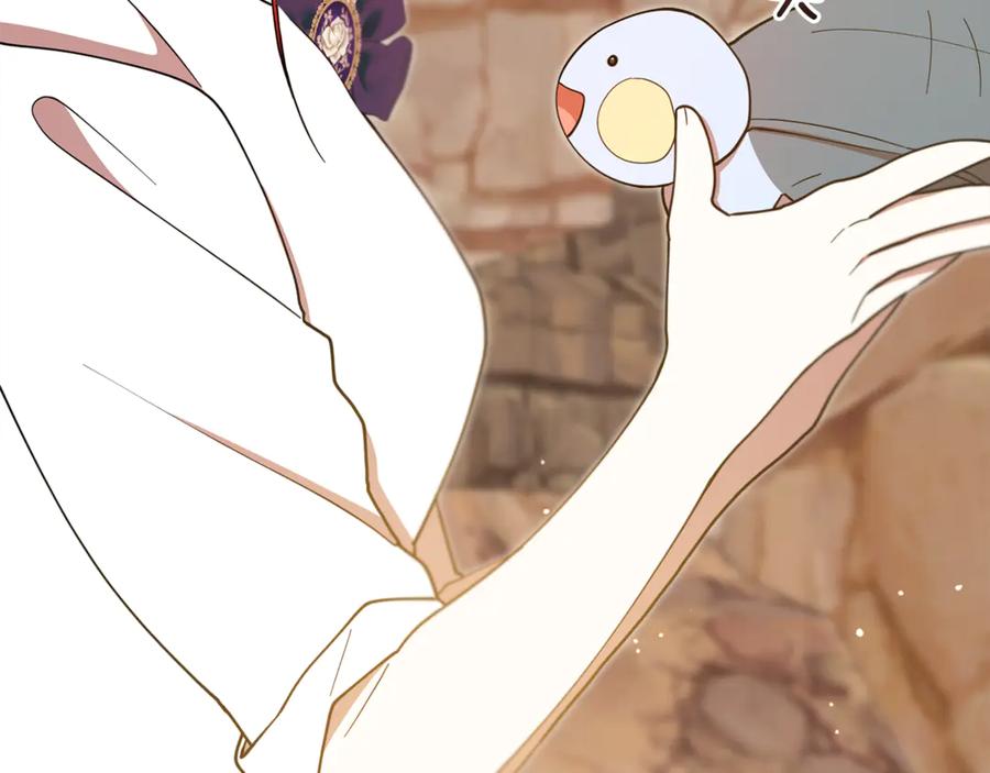 第252页