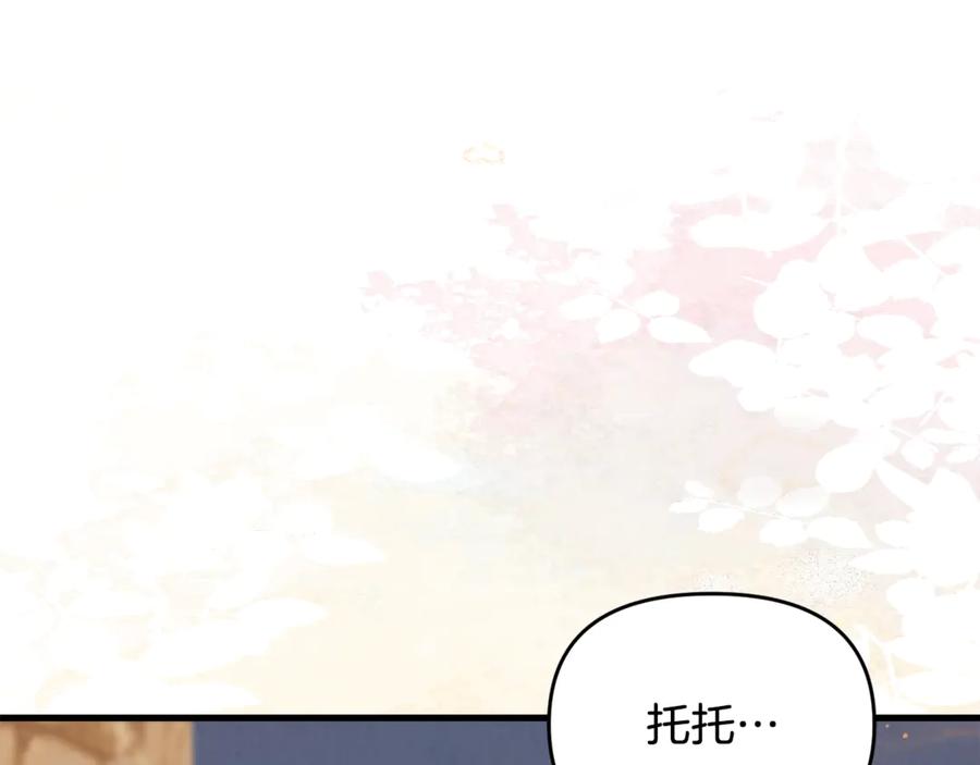第264页