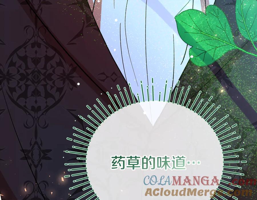 第205页