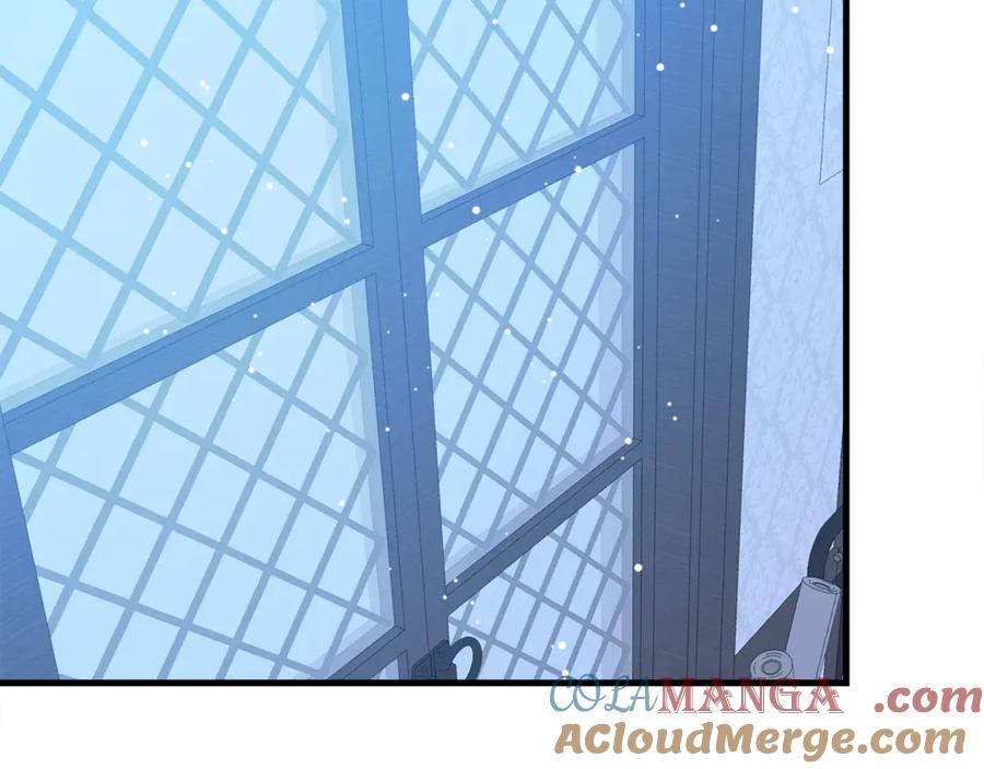 第217页
