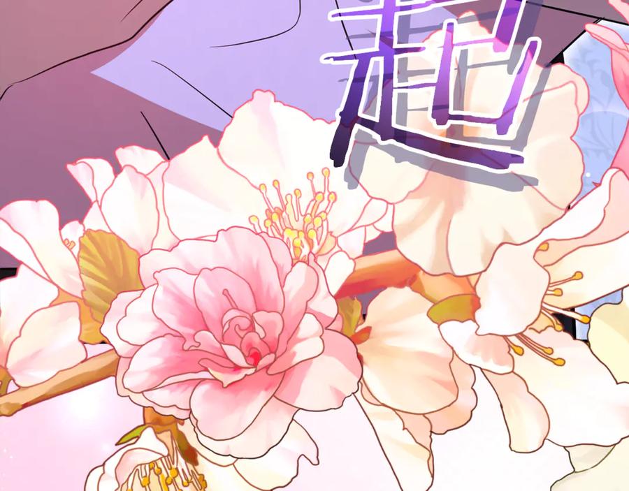 第223页