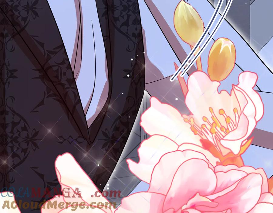 第233页