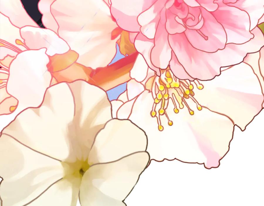 第234页