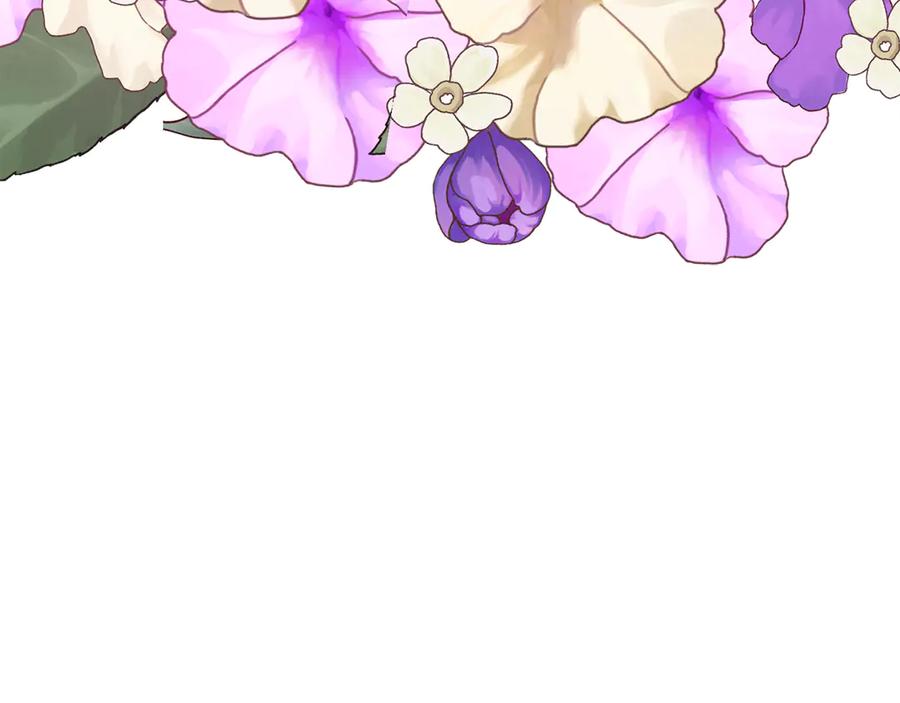 第255页