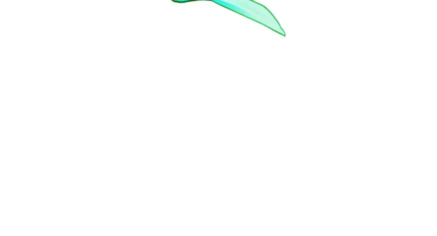 第202页