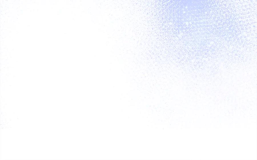 第250页