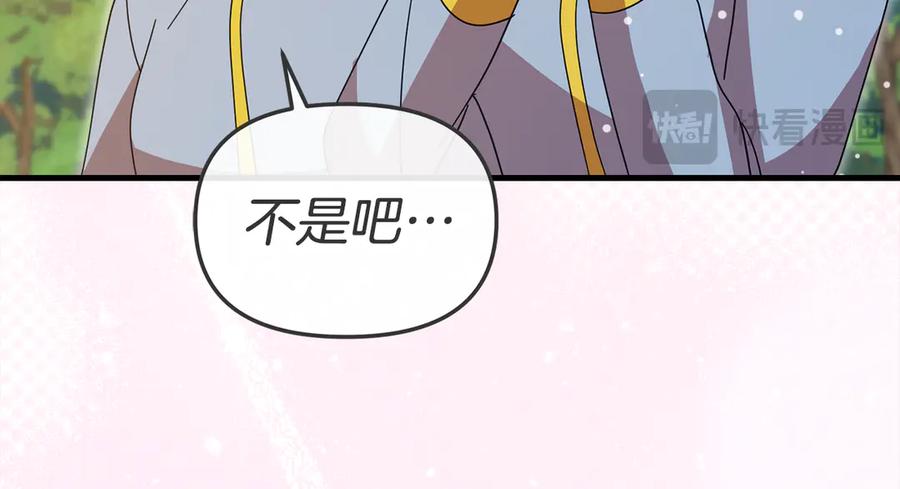 第254页