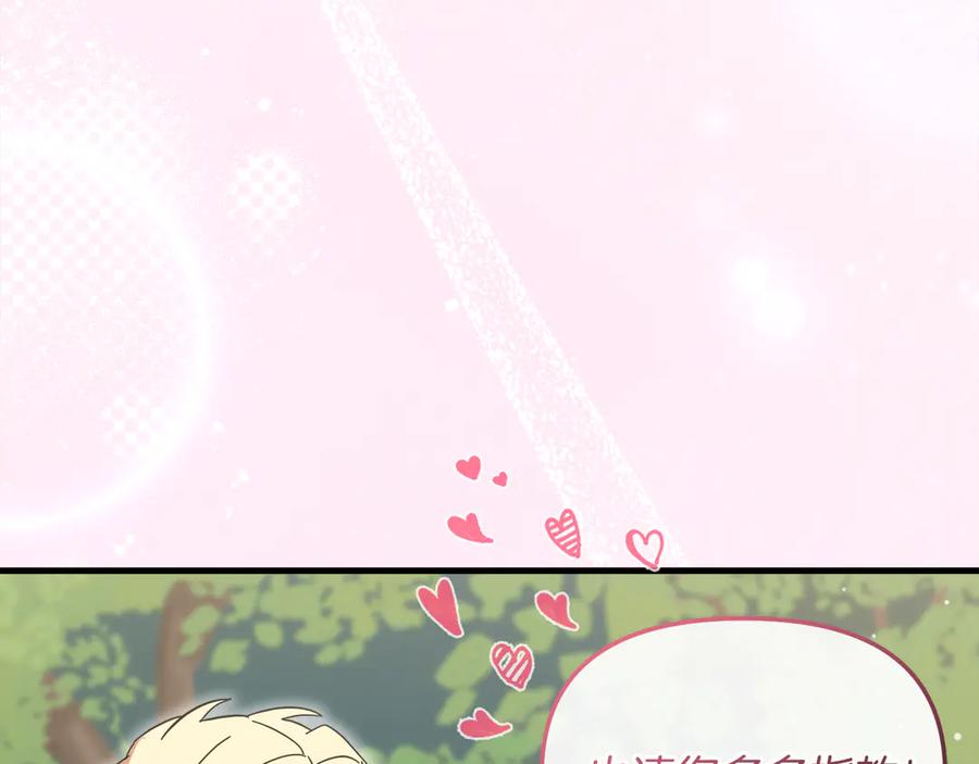 第255页