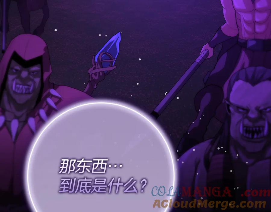 第245页