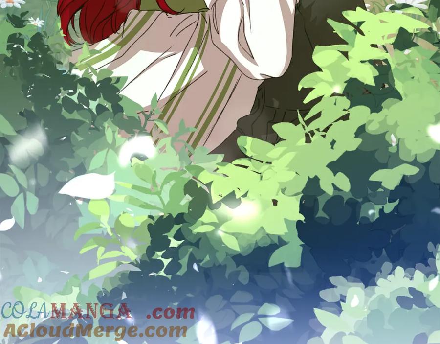 第217页