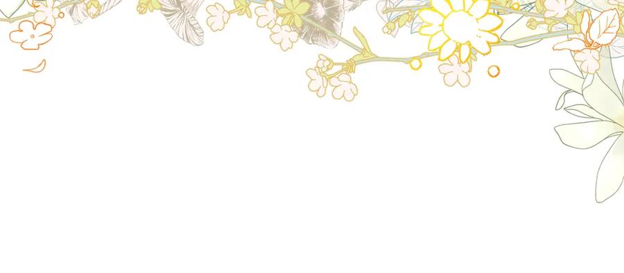 第258页