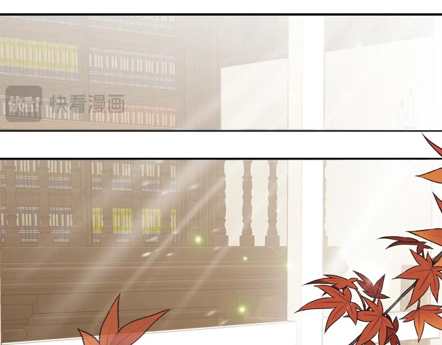 第216页