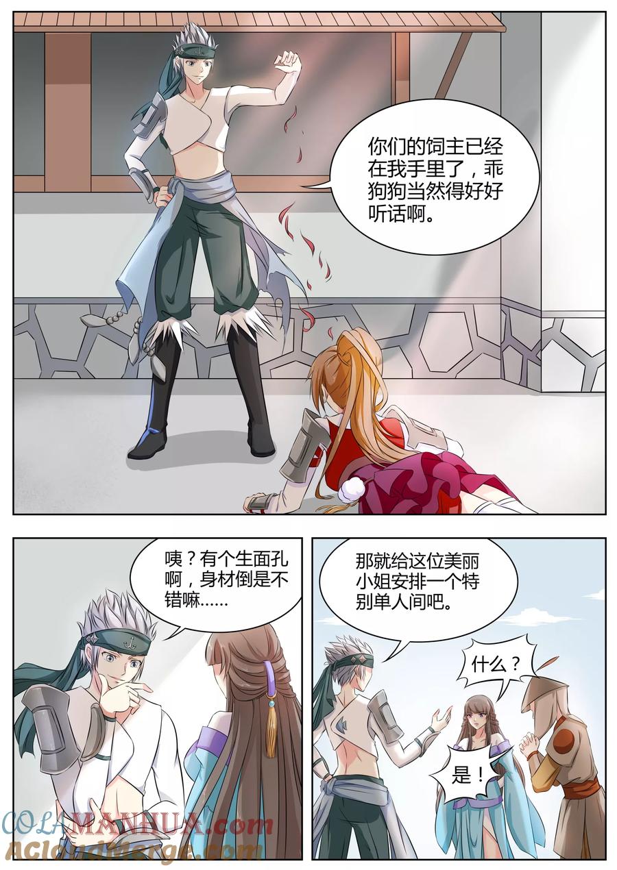 第3页