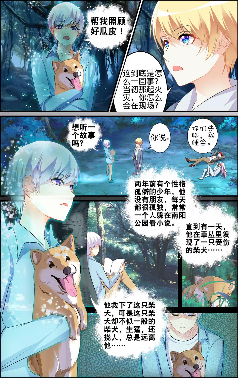 第41页
