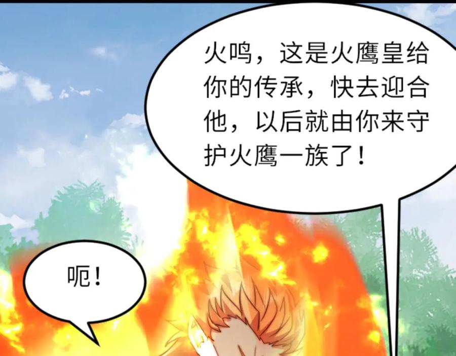 第229页