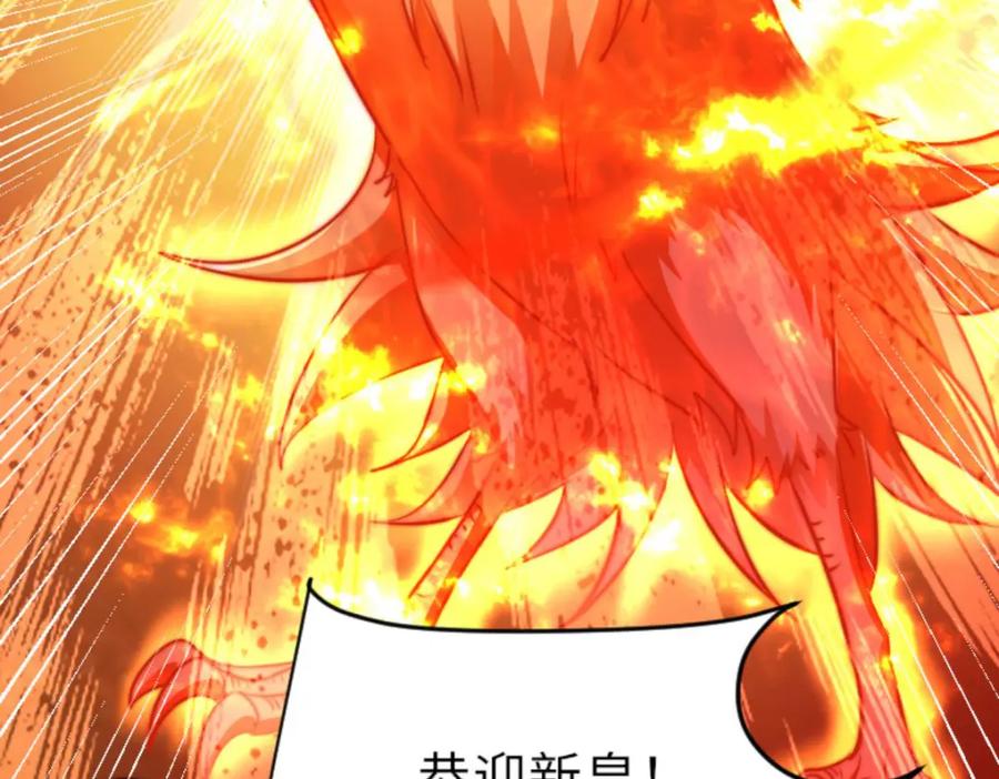 第243页