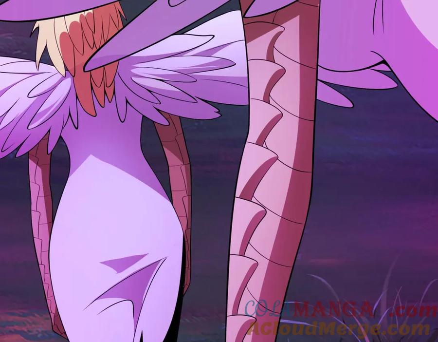 第213页