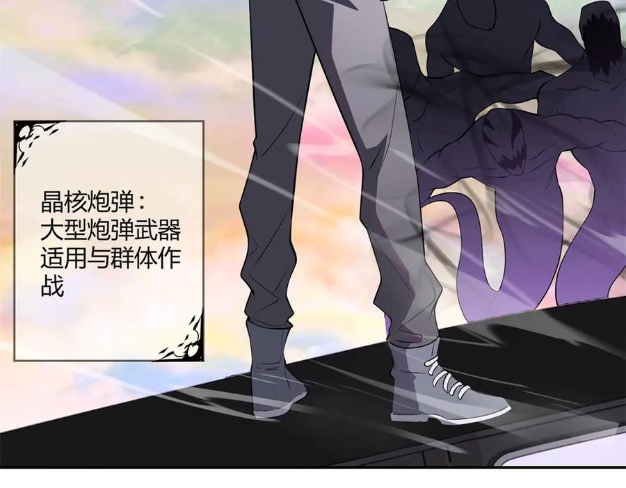 第204页