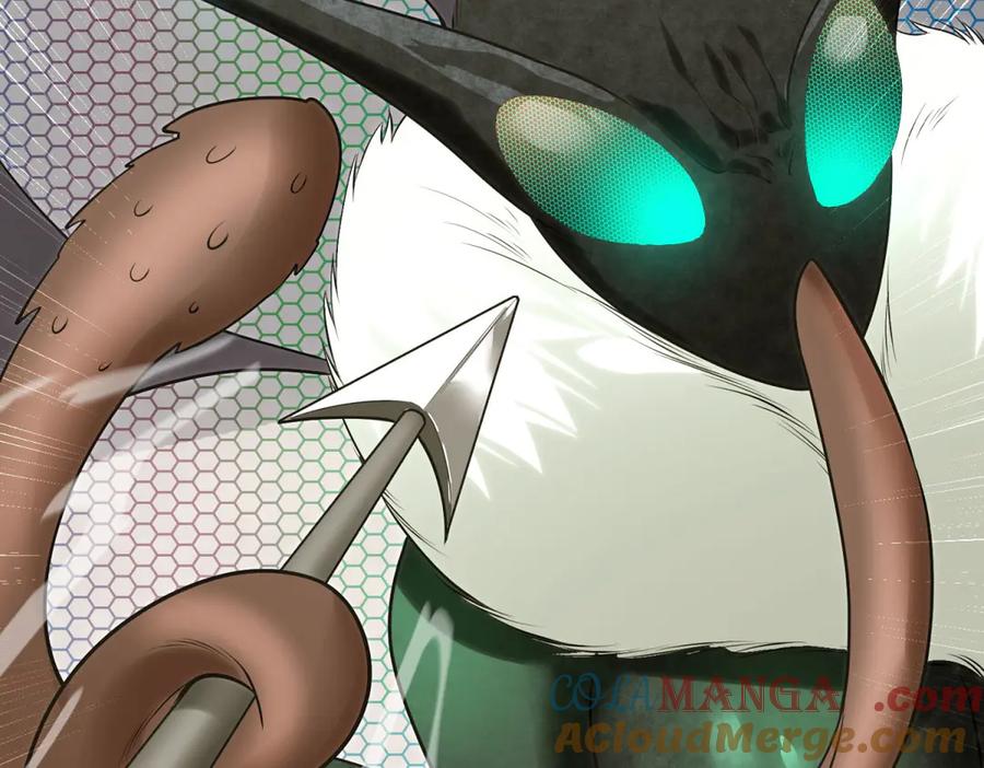 第213页