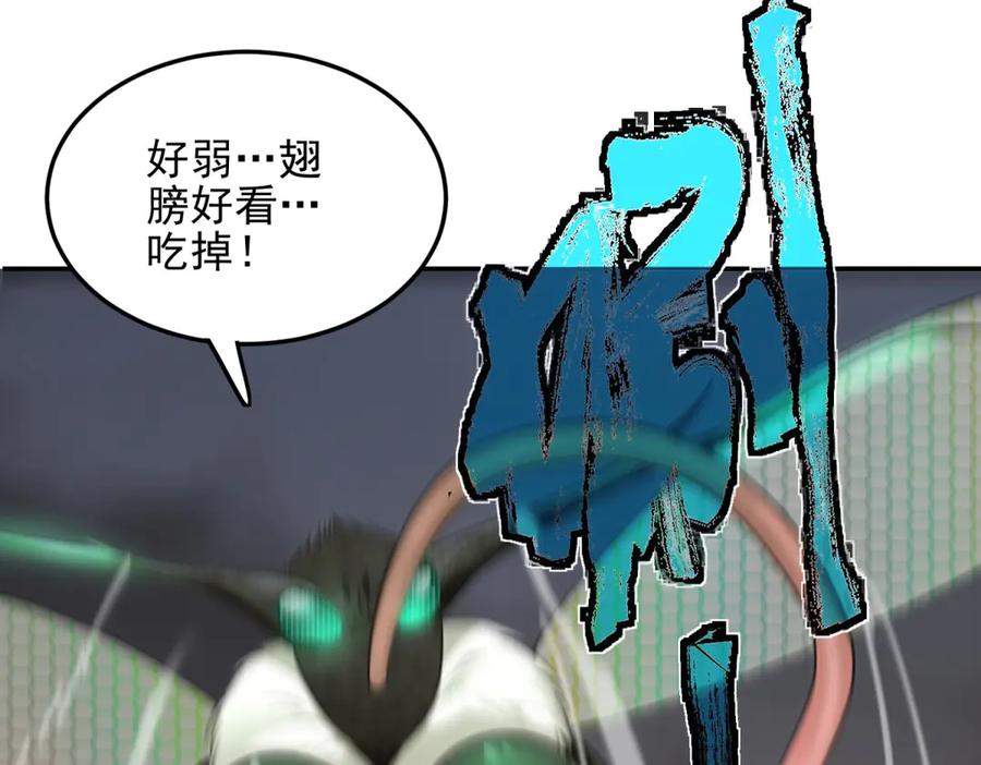 第218页