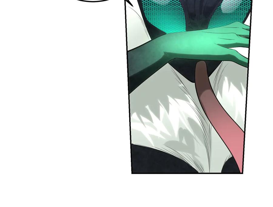 第236页