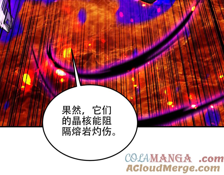 第205页