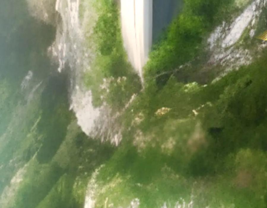 第183页