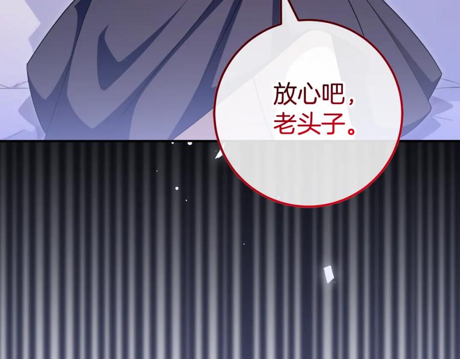 第223页