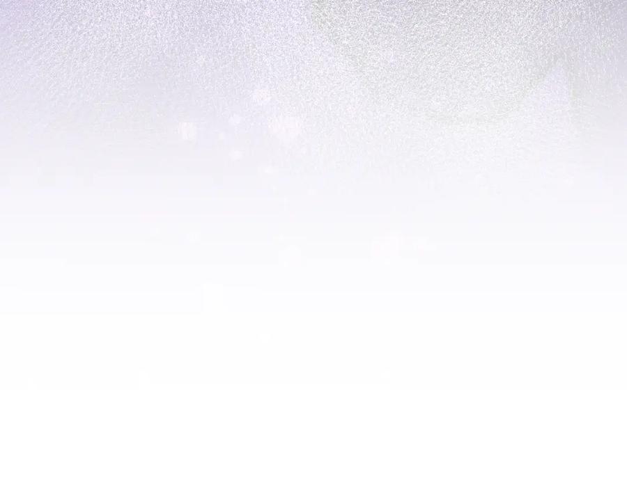 第250页
