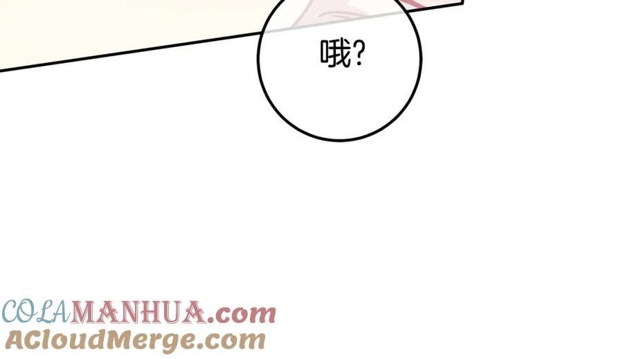 第205页