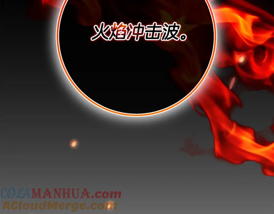 第245页